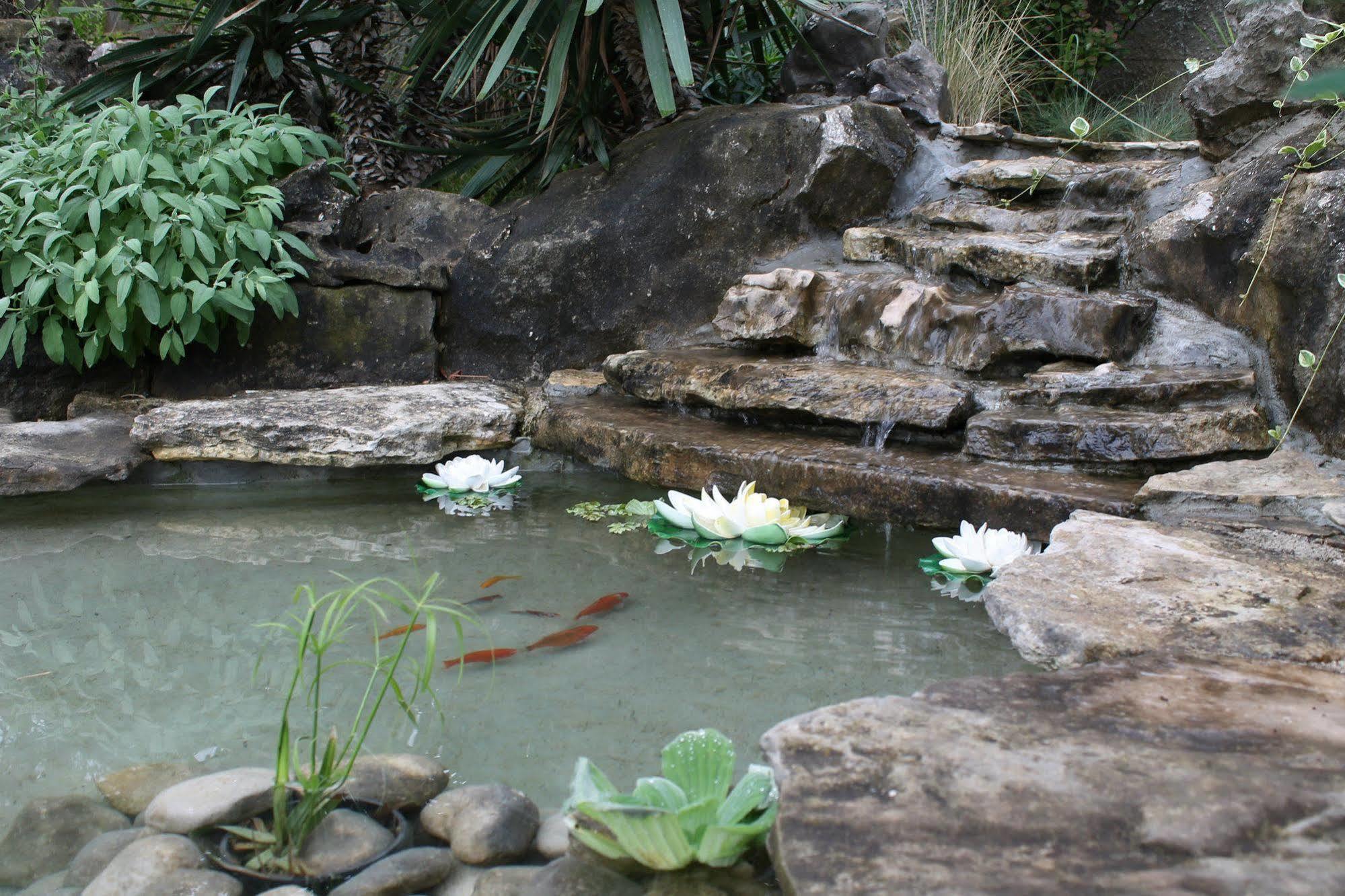 Mandolina