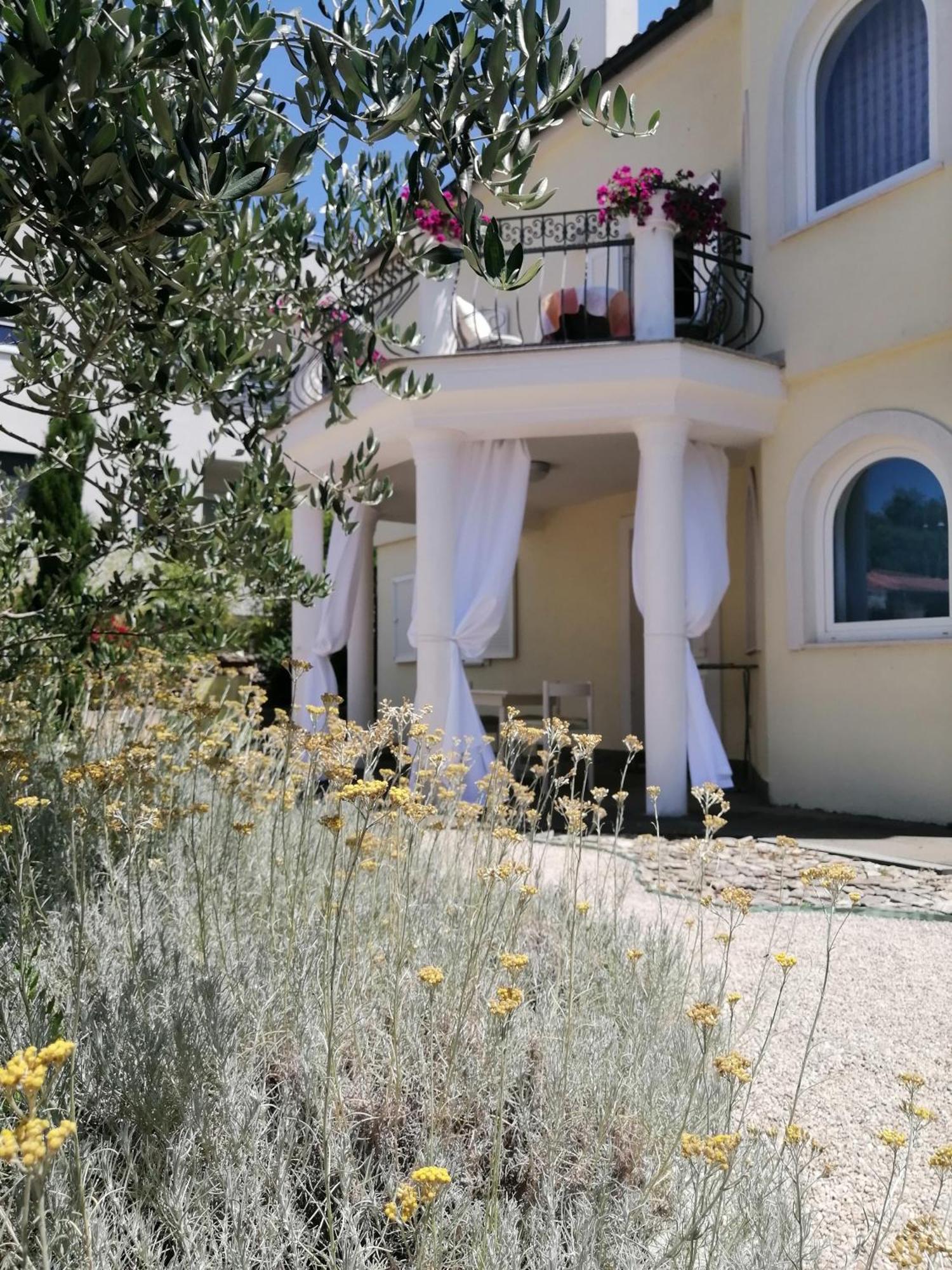 Apartman Mandolina Zadar
